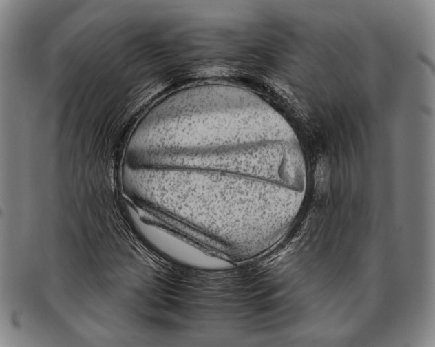 X0000096481209200802211206