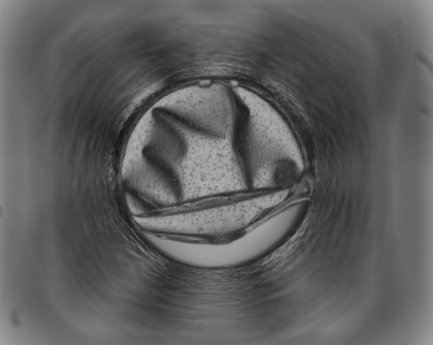 X0000096481210200802211206