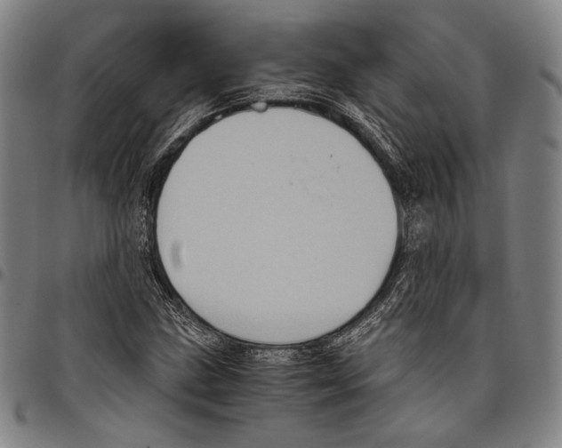 X0000096481211200802211206