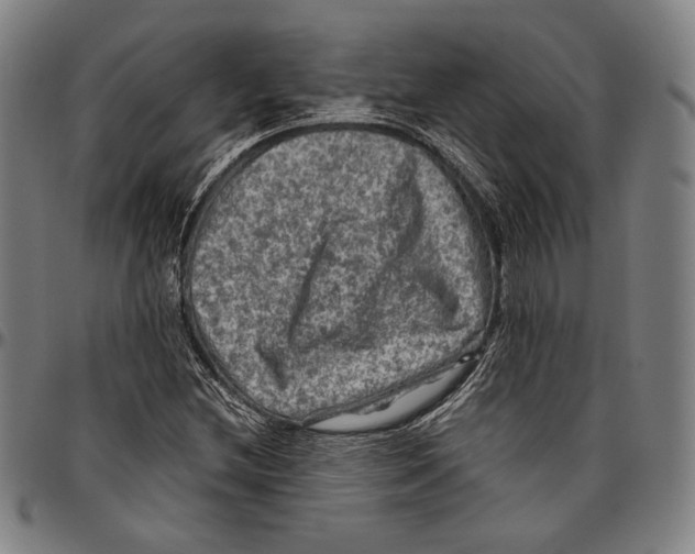 X0000096481212200802211206