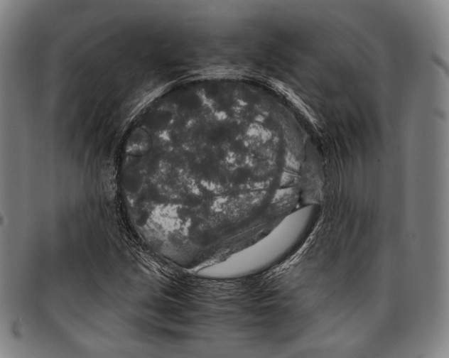 X0000096481213200802211206