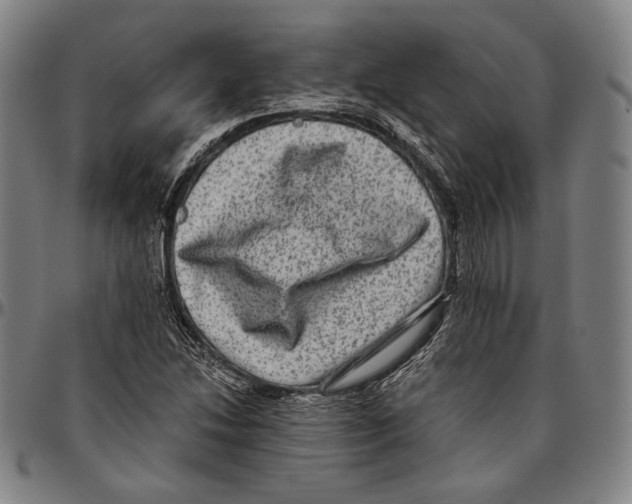 X0000096481214200802211206