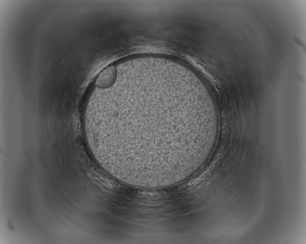 X0000096481215200802211206