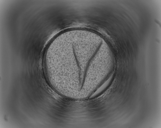 X0000096481216200802211206