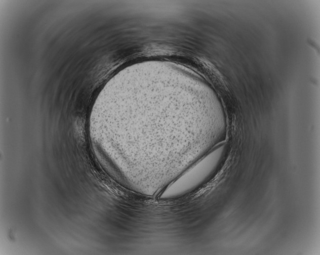 X0000096481217200802211206