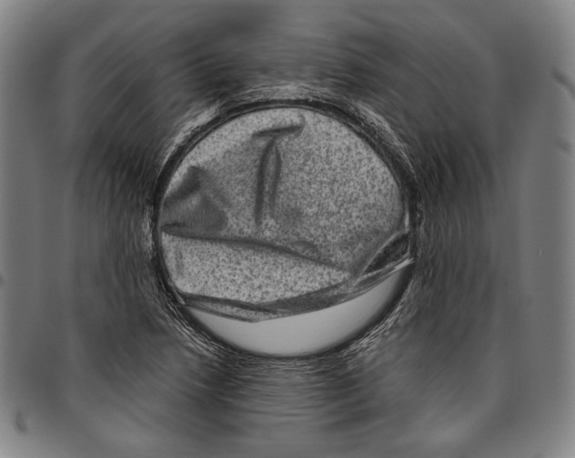 X0000096481218200802211206