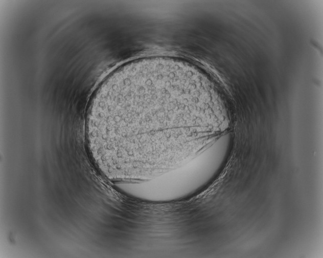 X0000096481220200802211206