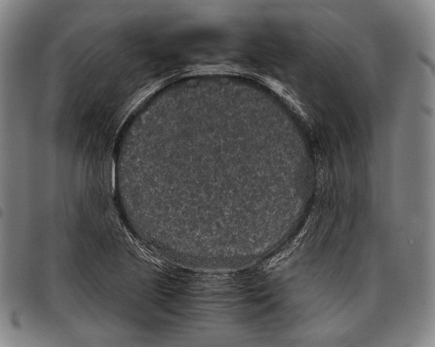 X0000096481221200802211206