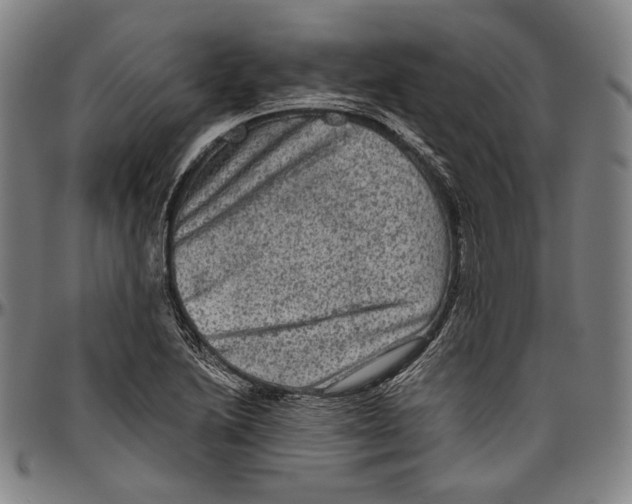 X0000096481222200802211206
