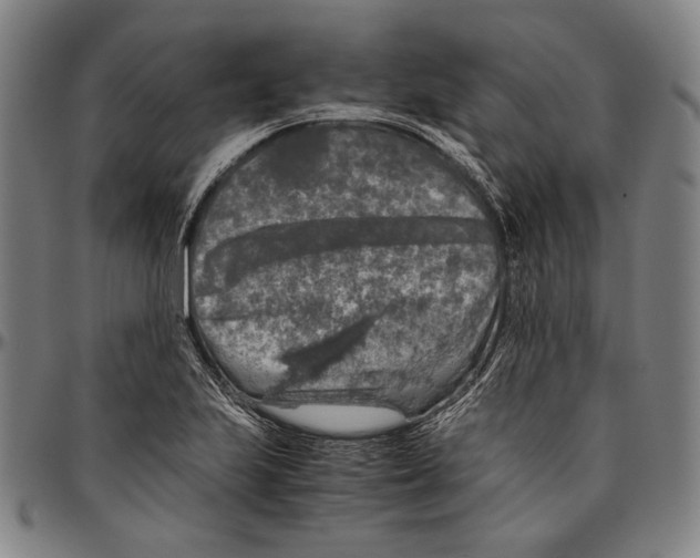X0000096481223200802211206
