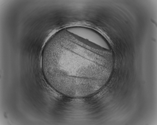 X0000096481224200802211206