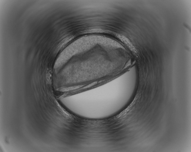 X0000096481225200802211206