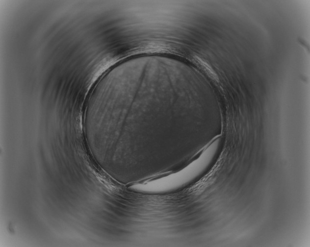 X0000096481226200802211206