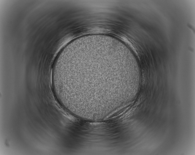 X0000096481227200802211206