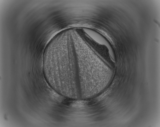 X0000096481228200802211206