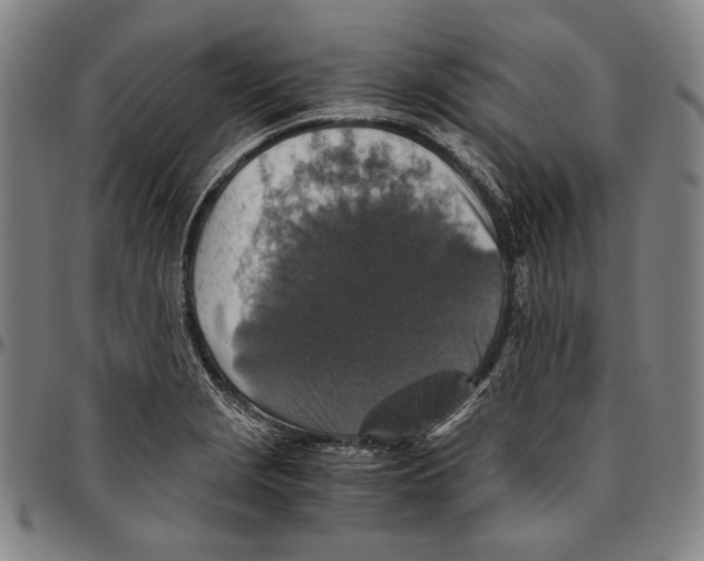X0000096481229200802211206