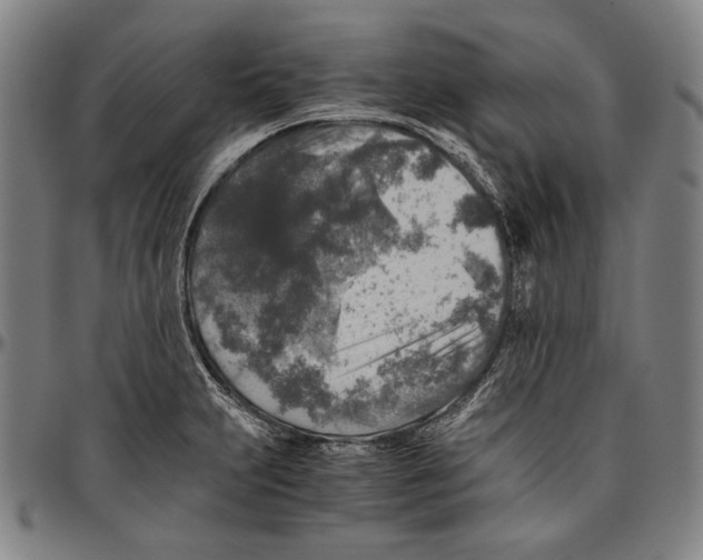 X0000096481231200802211206
