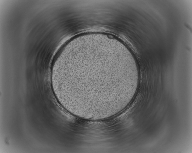 X0000096481232200802211206