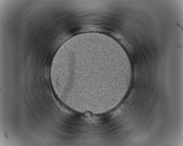 X0000096481233200802211206