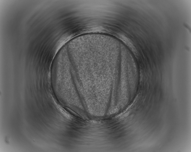 X0000096481234200802211207
