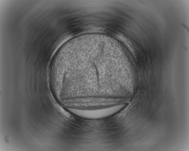 X0000096481235200802211207