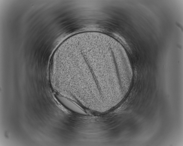X0000096481236200802211207