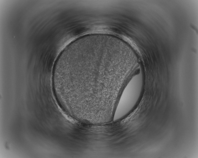 X0000096481237200802211207