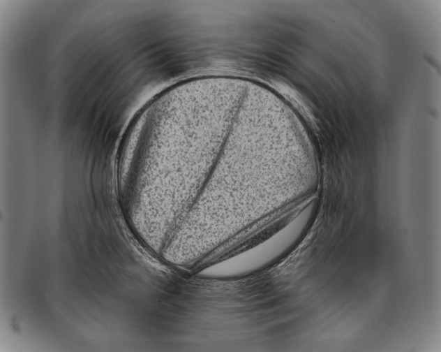 X0000096481238200802211207