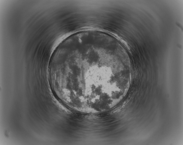 X0000096481239200802211207