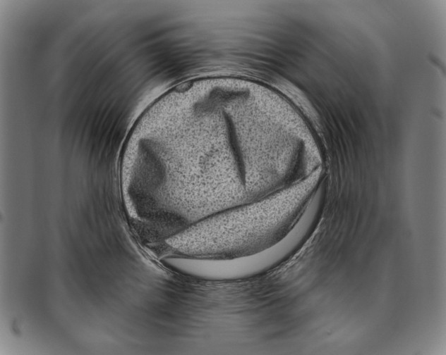 X0000096481242200802211207