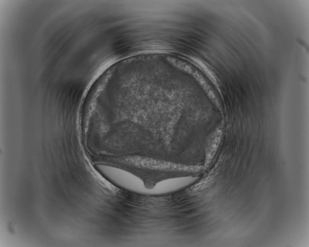 X0000096481243200802211207
