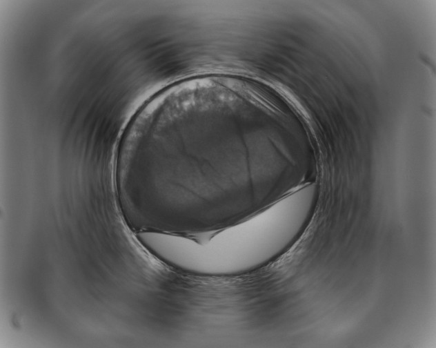 X0000096481246200802211207