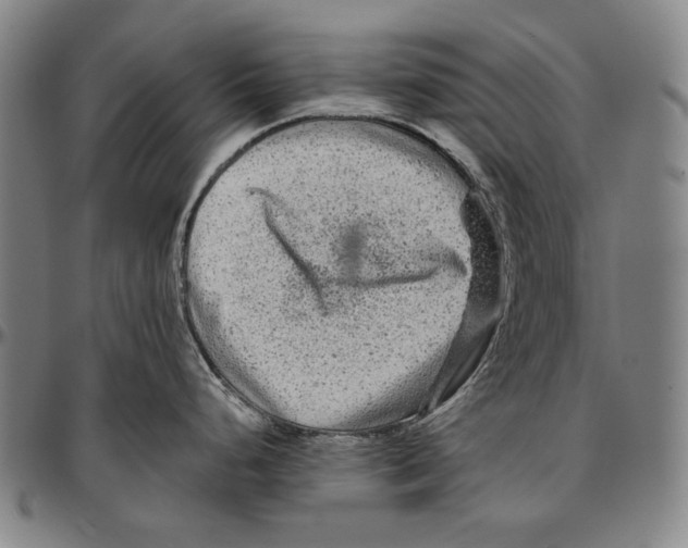 X0000096481248200802211207