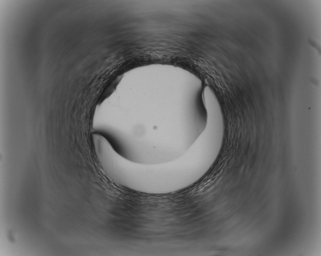 X0000096481249200802211206