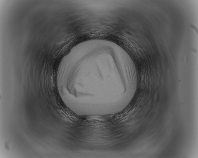 X0000096481250200802211206
