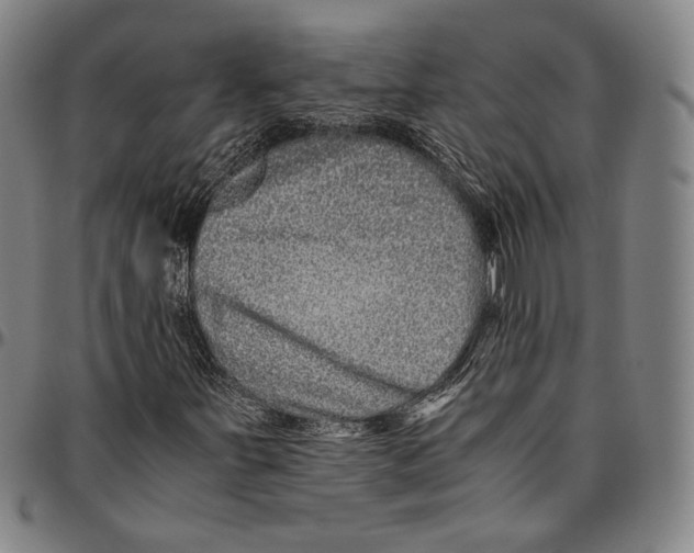 X0000096481251200802211206