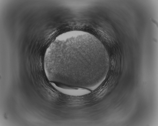 X0000096481252200802211206