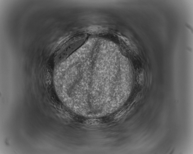 X0000096481253200802211206