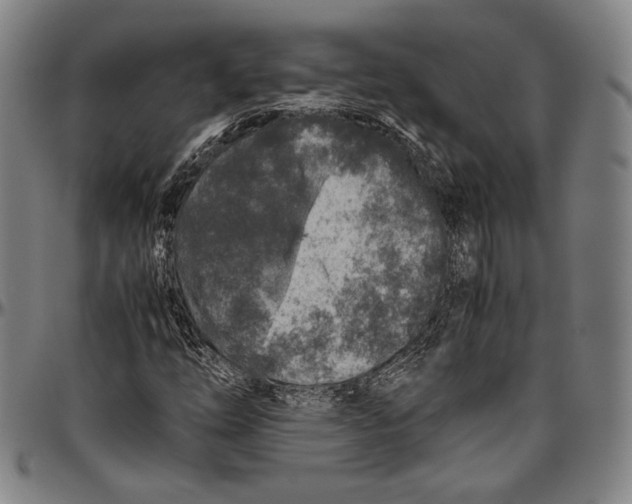 X0000096481254200802211206