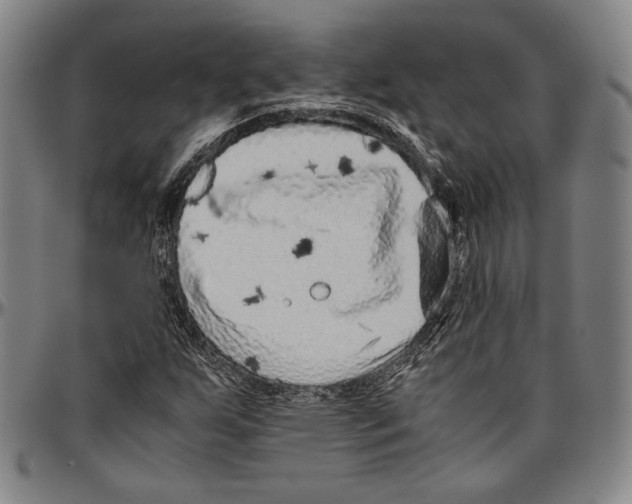 X0000096481255200802211206