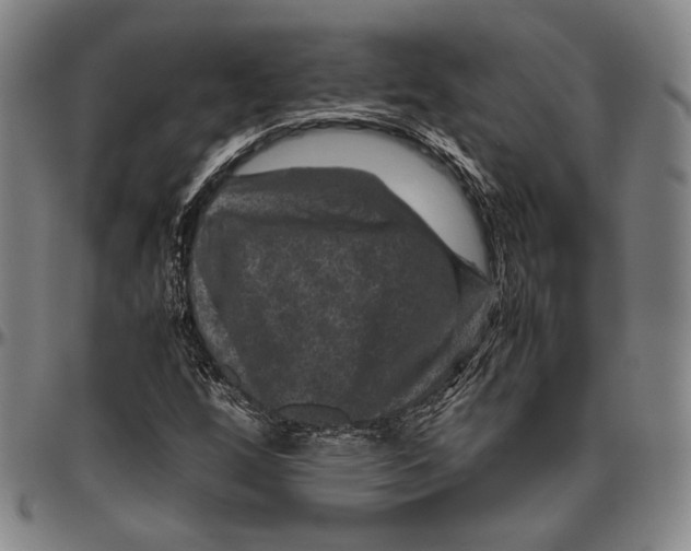 X0000096481256200802211206