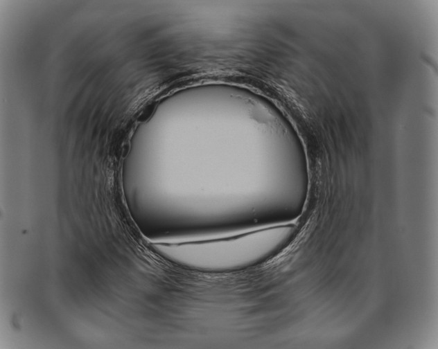 X0000096481257200802211206