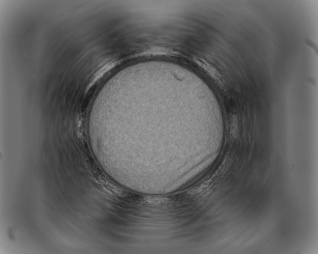 X0000096481258200802211206