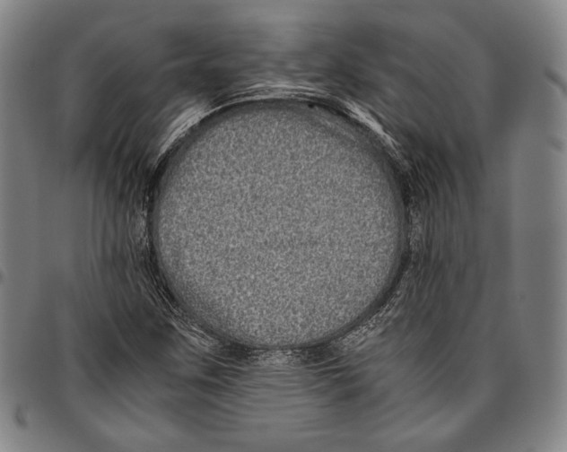 X0000096481259200802211206