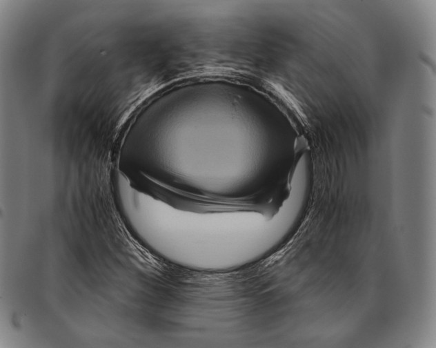 X0000096481260200802211206