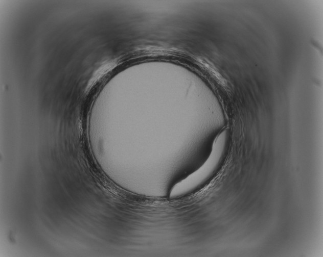 X0000096481261200802211206