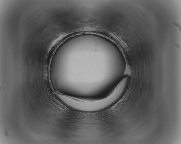 X0000096481262200802211206