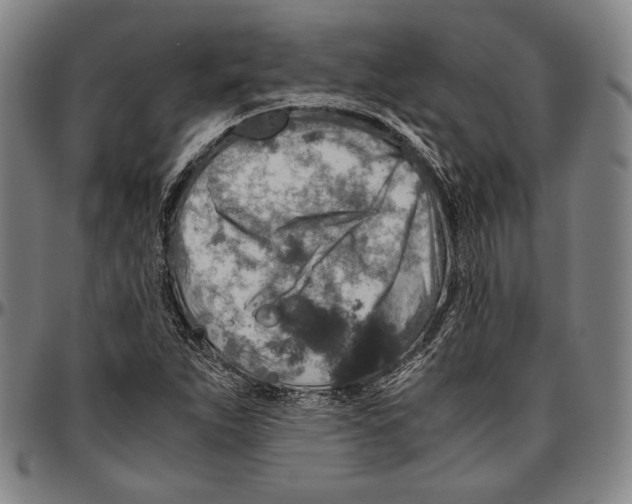 X0000096481263200802211206
