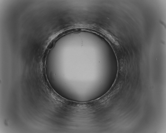 X0000096481264200802211206