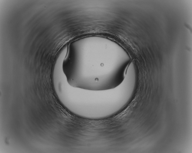X0000096481265200802211206
